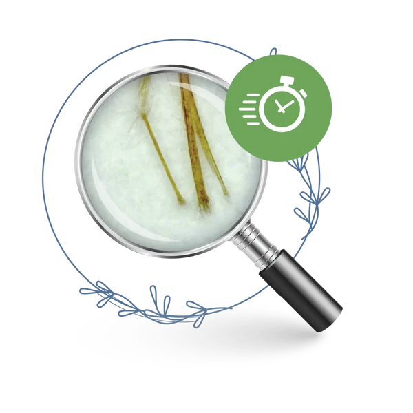 TRICHOLOGICKÁ ANALÝZA