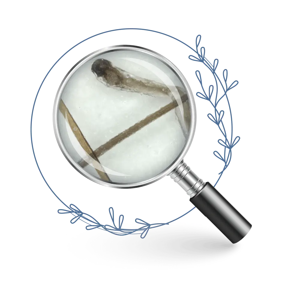 TRICHOLOGICKÁ ANALÝZA